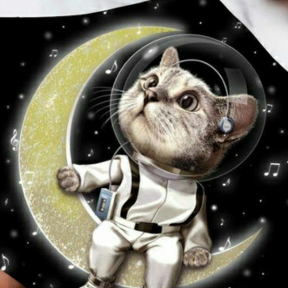 Meet your Posher, Katrina